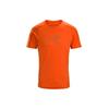 Arcteryx Ionia Merino Wool T Shirt Men's 18920