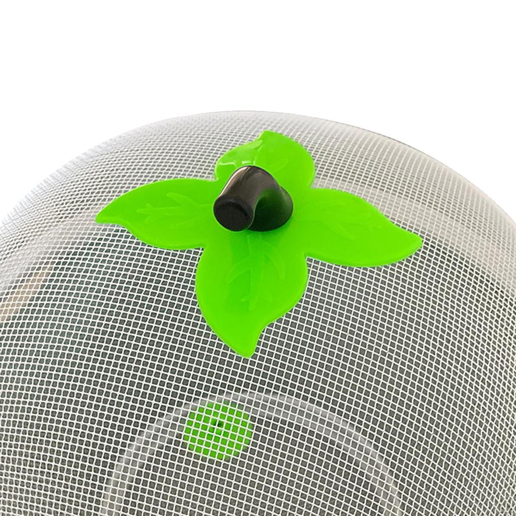 Covered Fruit Storage Basket with Lid - Modern Kitchen Organizer