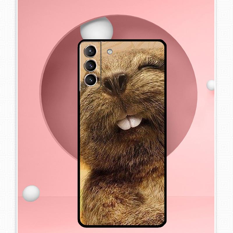 Чехол Animal Beaver для Samsung Galaxy S22 S23 S24 Ultra Note 20 10 S8 S9 S10 Plus S21 S20 FE, мягкий чехол