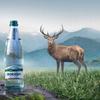 6X Naturalna Woda Mineralna Borjomi 1L (Pet)