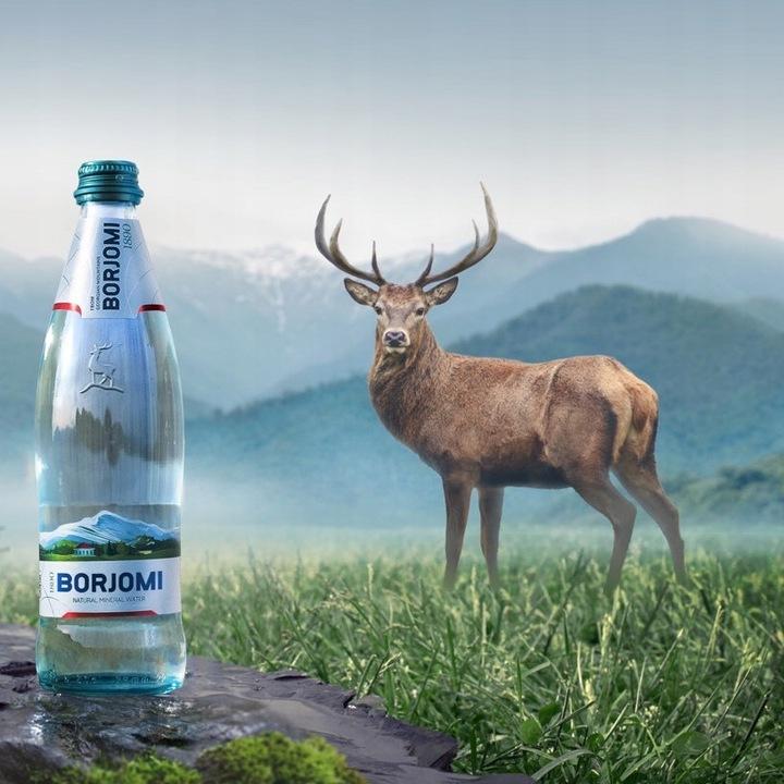 6X Naturalna Woda Mineralna Borjomi 1L (Pet)