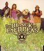 CD BLACK EYED PEAS - Don't Lie UICA5009 A&M 2005 Япония ОбиРэп & Хип-хоп/R&B Б/у