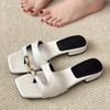 Fashion Clip Toe Women Slippers Flats Square Toe Sandals Shoes Woman Flip Flops Summer 2025 Trend Casual Dress Design Slides Sandalias