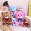 Cute Rendered Teddy Bear Doll Plush Toy Bear Hug Bear Doll Rag Doll for Girlfriend Birthday Gift