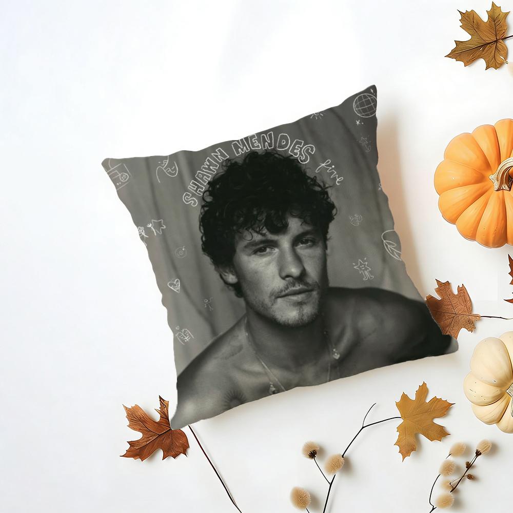 Singer SShawn Mendes Cushion Cover Iceland Washable Linen Soft for Daily Sofa Bed Home Room Decor