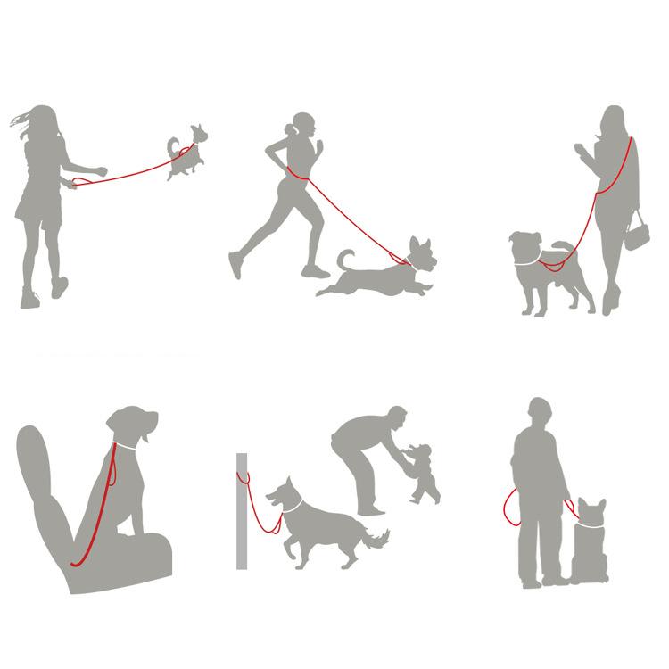Pet Leash 1PC Cat and Dog Running Car Lead Rope Hexagonal Dog Leash Chest Strap Explosion-proof Punch Car Seat Belt Walking Use