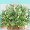 Faux Green Eucalyptus Globulus With 7 Branches For Home Party And Studio Decoration