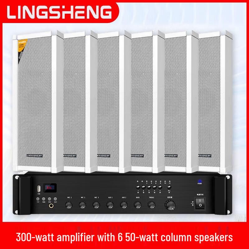LINGSHENG Outdoor Waterproof PA System with 300W Amp & 6 Wall Speakers