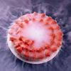 BOUSSAC Food Grade Dry Ice