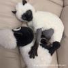 Sphynx Devon Cat Thick Warm Four-Legged Coat Winter Lamb Fleece Pet Clothes