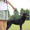 4,7-футовый прочный поводок для собак с двойной ручкой из нейлоновой веревки, поводок для тренировок на открытом воздухе для прогулок для маленьких, средних и больших собак