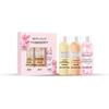 Miss Lilly Hair Care Travel Set