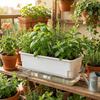 Thicken Seedling Tray Self Watering Plant Nursery Pot Germination Tray  Vegetable Gardening