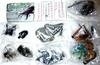 Gashapon Основной цвет Японская энциклопедия насекомых III Всего 7 типов, включая секреты
