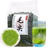 Xinyang Maojian Green Tea Leaves Spring Tea Mingqian Huangshan Luxiang250g