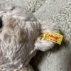 [USED] Steiff Teddy Bear, Beige, Approx. 40cm