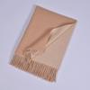 Autumn and Winter New Imitation Cashmere Double-sided Monochrome Warm Scarf Scarf Men's and Women's Fashion Warm Fringe