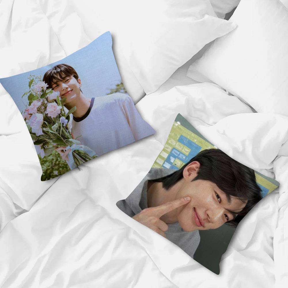 Korean Celebrity Byeon Wooseok Pillowcase toon Gift Cushion Cover Bedroom Home Sofa Chair Seat Decor pillow case