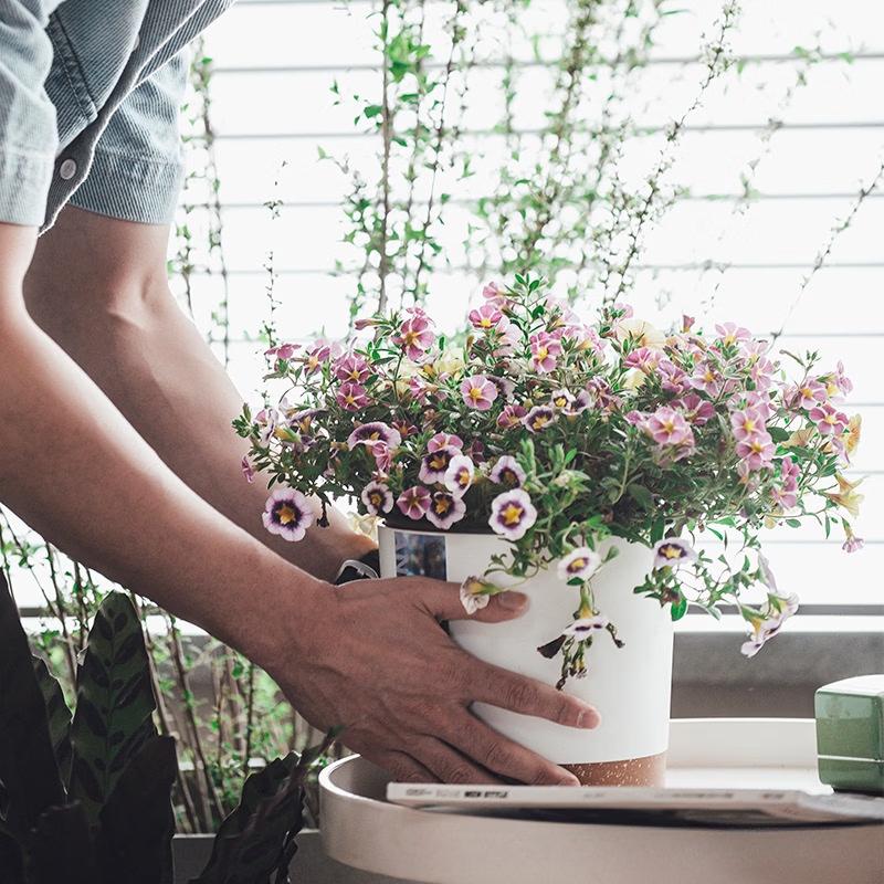 Yingtang Anthony European Style Plastic Planter