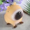 Soft Stretchy Capybara Squeeze Splashing Toy for Decompress Office TPR Balls Relaxation Toy Stress Reliever for Students