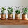 Садовое растение опора для лазания каркас креативная подпорка для растений металлическая фиксирующая штанга для растений шпалера для лазания лиан кронштейн для горшечных цветов