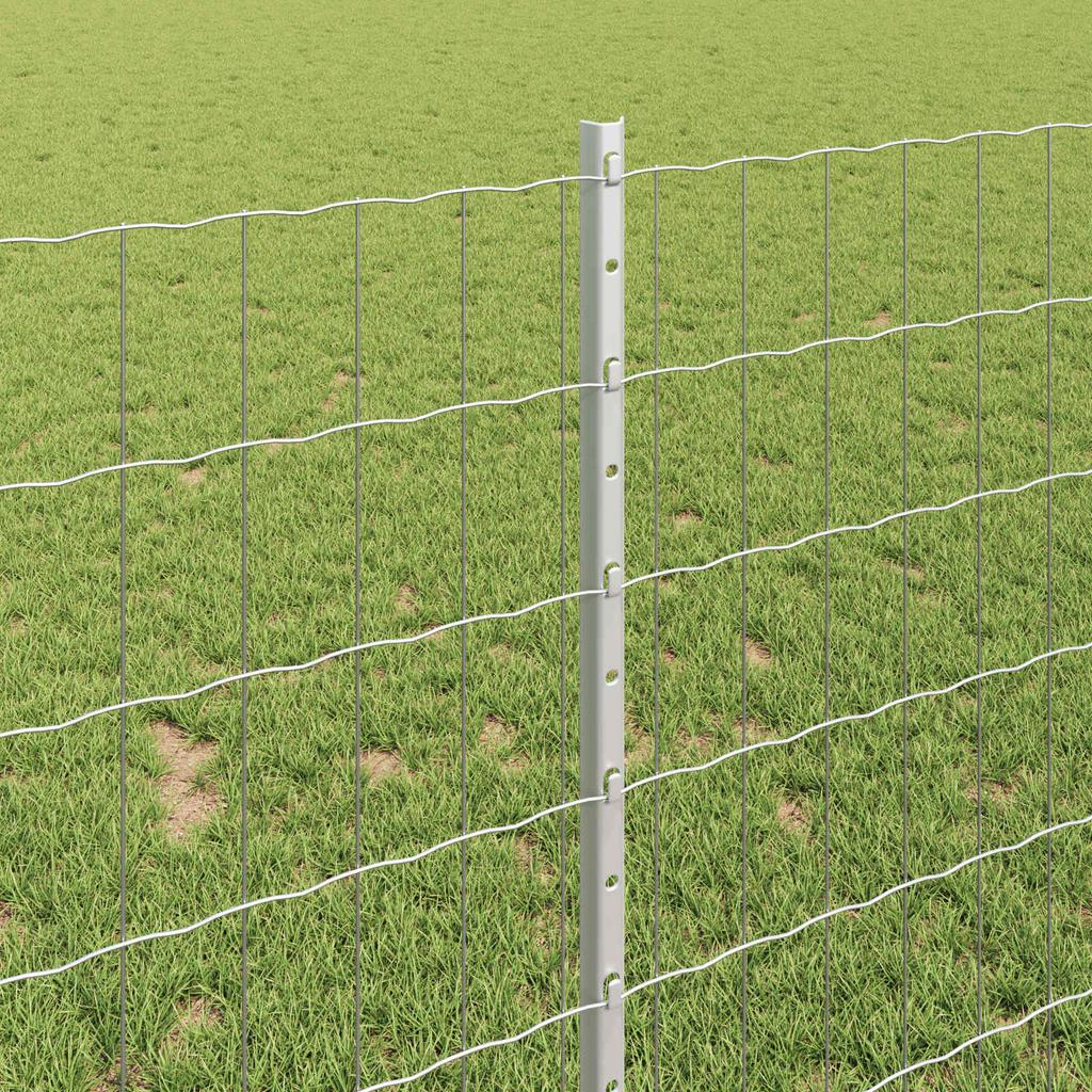 Welded Wire Fence 10 x 1 m (W x H) Hot Dip Galvanized Steel