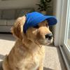 with Ear Holes Dog Sun Hat Sun Protection Dog Sunscreen Hat Handsome Summer Cat Cap  Outdoor Sports