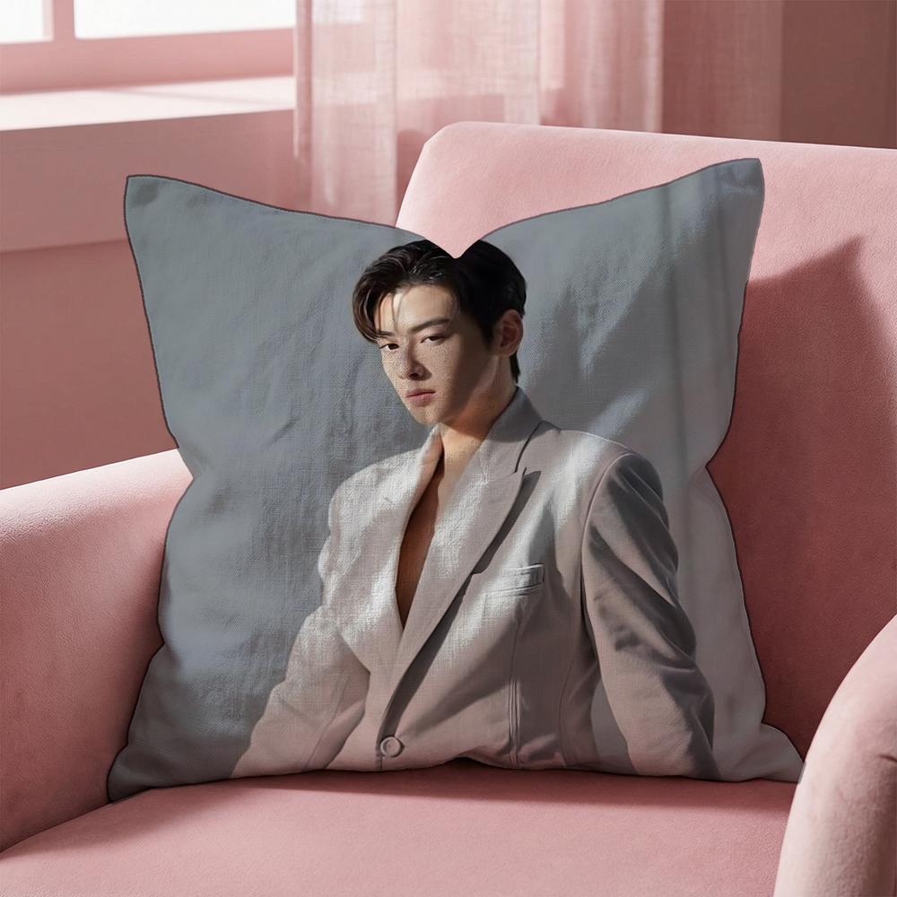 Чехол на подушку C-Cha Eun Woo SINGER для дома и автомобиля - Двусторонний, мягкий и прочный для ежедневного использования