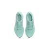 Nike Zoom Air Pegasus 40 Изумрудный Райз (GS) Детские кроссовки Clear-Jade Jade-Ice White DX2498-300