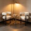 Reading Chair, Comfortable Dining Chairs, Living Room Chairs with One-Piece Backrest and Armrest, Make-up Chair In the Bedroom (only 2PCS Chairs)