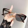 2025 New Advanced Sense of Myopia Glasses Women Men Trendy Fashion Cat Eyeglasses Frame Photochromic Full Rim Glasses 0 To 4.0