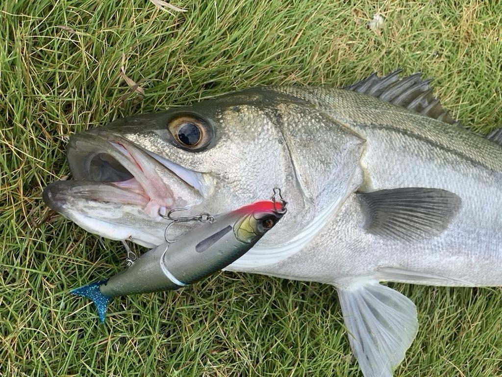 TREFLE CREATION MIRAGE JT 128S Прозрачный Жемчужный Ставрида 28г Составная Приманка