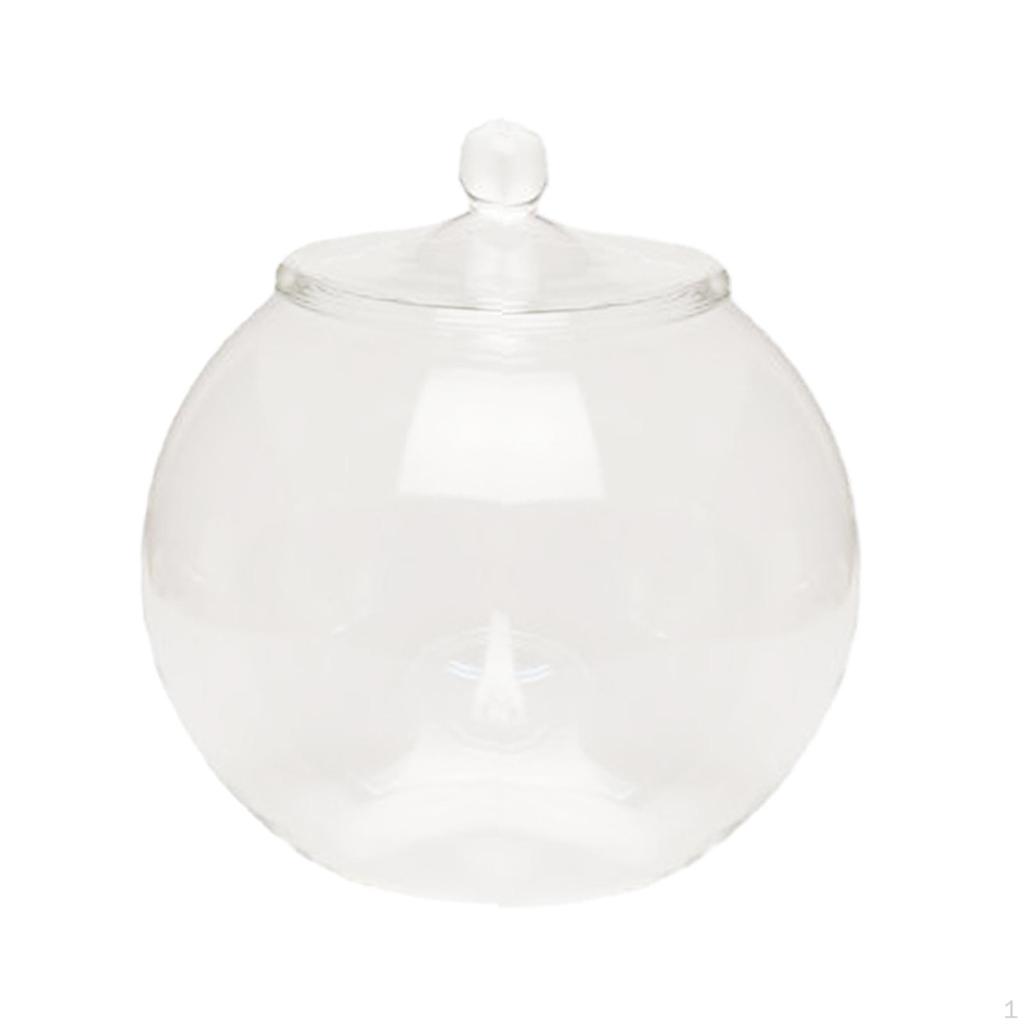 Planter Jar Glass Terrarium 7.87inch Micro Landscape Vase Bottle Plant Container for