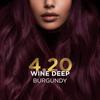 BBLUNT Salon Secret High Shine Conditioning Hair Colour With BondTech™ For Strong Shiny Hair - Wine Deep Burgundy 4.20