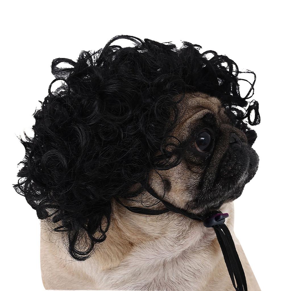 Adorable Black Color Pet Wig With Fun Afro Style For Halloween Parties And Festivals