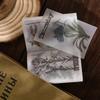 phone decoration plant craft paper sheets post card scrapbook paper cardcoard journaling supplies