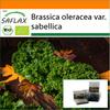 Сад в сумке - Органический - Капуста - Westland Winter - 70 семян - С субстратом в подходящей устойчивой сумке - Brassica oleracea