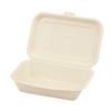 ECO&BASIC Disposable Lunch Boxes, 600ml Capacity, Pack of 50, Microwaveable, Takeout, Bagasse, Durable, Stain-Resistant, Eco-Friendly, Plant-Based,