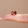 High-Grade Simple Imitation Natural Garnet Stud Earrings, Women'S Rose-Plated Zircon Earrings.
