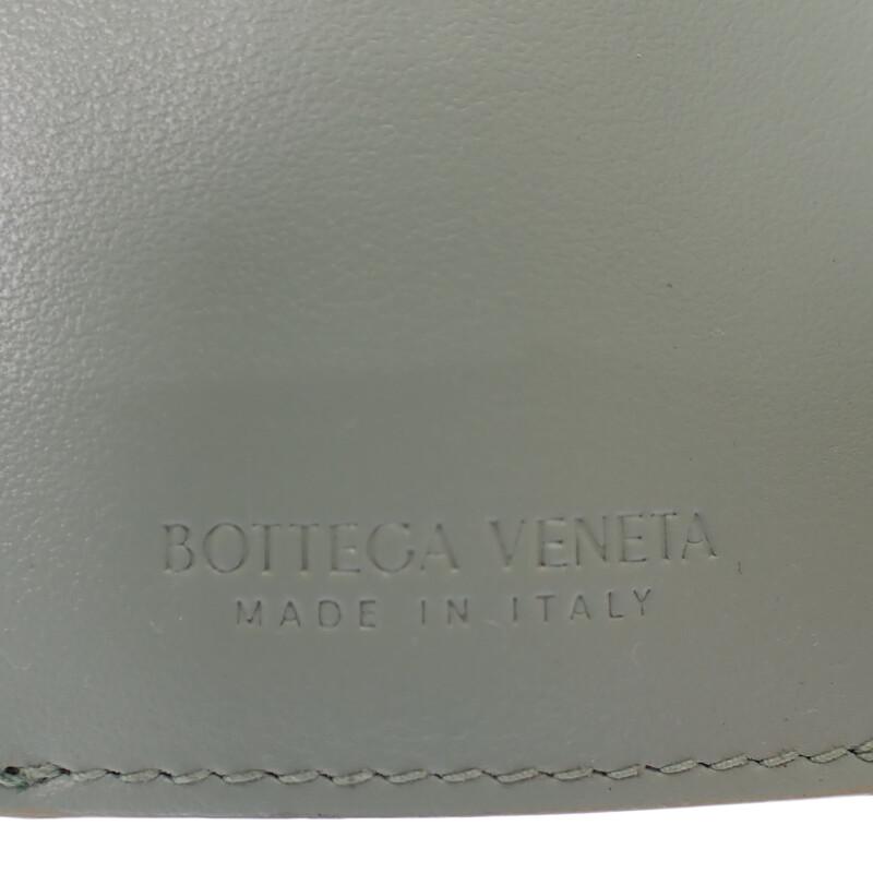 BOTTEGA VENETA  751156VCPP68369 Tri-fold wallet green/Newsage Women