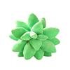 Succulent Plant Plush Pillow - Soft Doll Cushion Gift