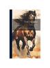 The The Horse : How To Feed Him, Avoid Disease and Save Money Book
