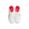 Nike Tiempo Legend 9 Pro AG Football Shoes Men Sneaker White DB0448-176