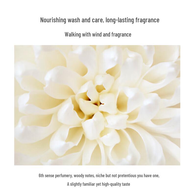 Qianxiang Torreya Amino Acid Shampoo