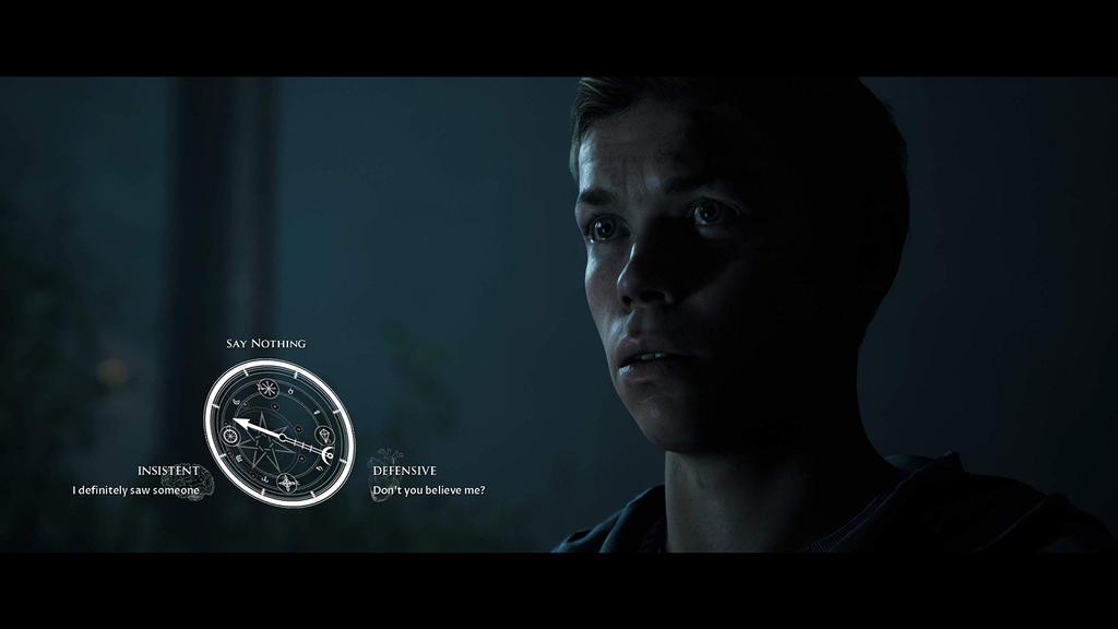 Темная Маленькая Надежда Север PS4 Картинки (Импорт Америка) -