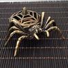Metal Incense Burner Spider Type Aroma Furnace Durable Incense Holder  Home Interior Decoration