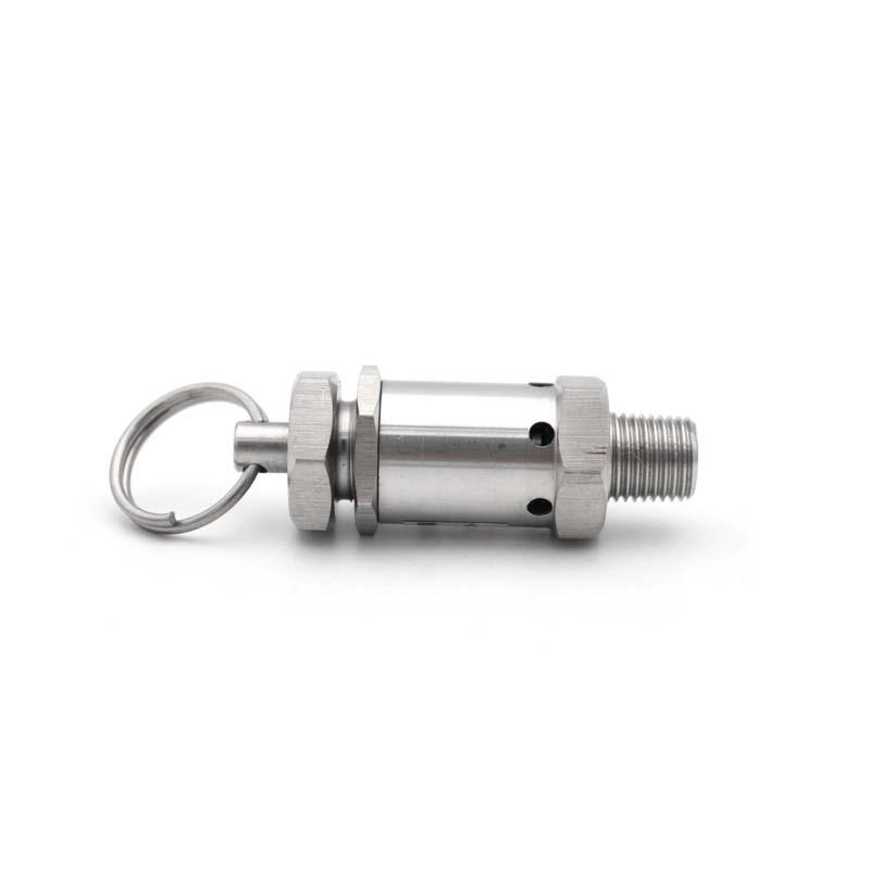 BSPT NPT 1/4 "1/2 "Male Thread 0.5-10 Bar Exhaust 304 Stainless Steel Sanitary Mini Spring Safety Valve For Air Compressors