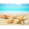 DIY 5D Diamond Painting Sea Shell Full Round Drill Diamond Embroidery Cross Stitch