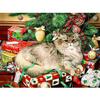 Алмазная картина 5d Рождественский подарок Кот Полный квадратный дрель Алмазная вышивка Прекрасный кот Вышивка крестом DIY Жениться на Рождество Мозаика Рукоделие Домашний декор