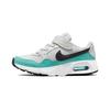 Детские кроссовки Air Max SC PS Photon Dust Washed Teal Серый Белый Черный CZ5356-008